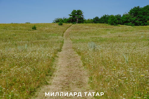 Алга, соплеменники!