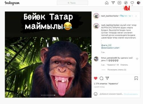 Башкирские паблики пробили дно, записав в ряды «великих татар» обезьяну