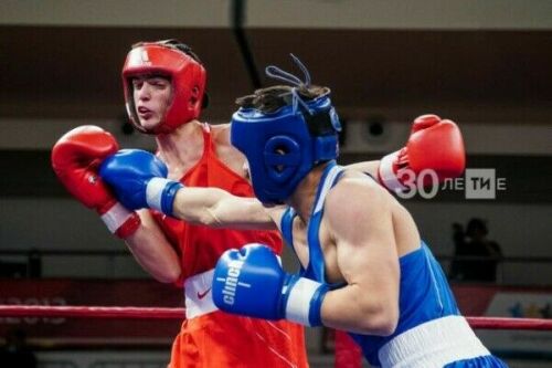 В Казани пройдет чемпионат Азии по рукопашному бою