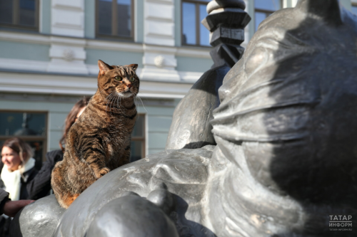 «День котов Казани» станет новым символом города