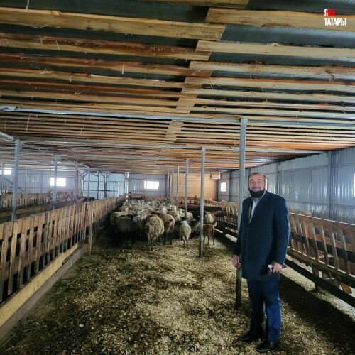 В Татарстан приехала делегация Афганистана для развития овцеводства