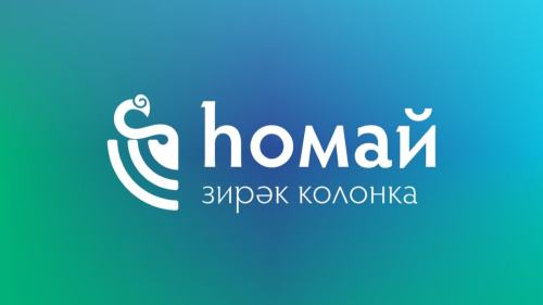 «У оцифрованного языка есть будущее»: в Уфе программист разрабатывает умную колонку на башкирском