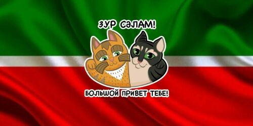«Кот казанский, ум астраханский»: что мы знаем о мяукающем бренде Татарстана?