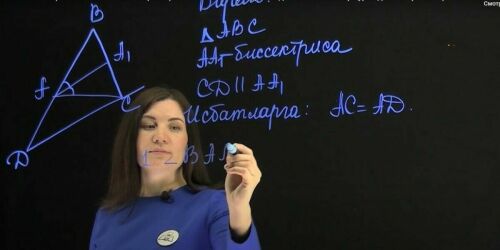 Проект «Онлайн-школа на татарском»: от начальной школы до подготовки к ЕГЭ