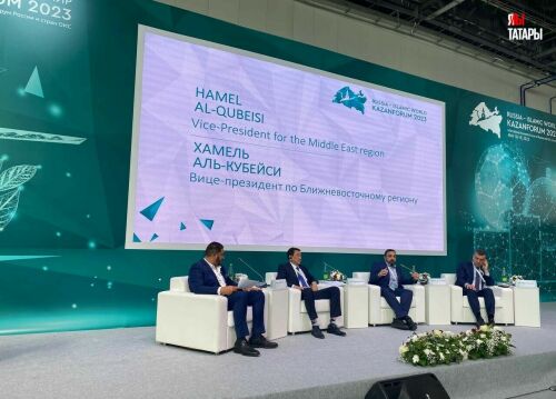 Проблемы хоккея в исламских странах