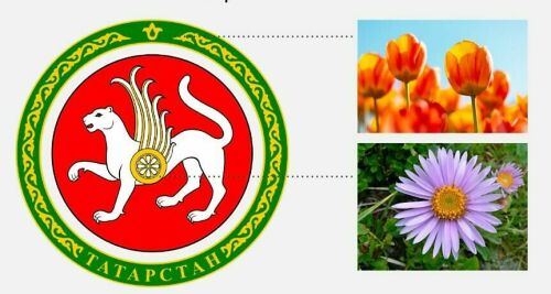 Астра и тюльпан на гербе не случайно: взгляд ботаника на геральдику Татарстана