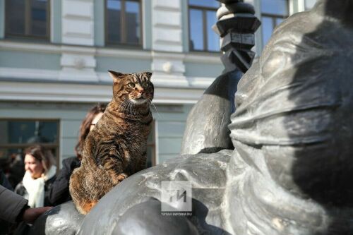 Скончался знаменитый толстый кот Виктор, побывавший в Казани и гостивший у Минниханова