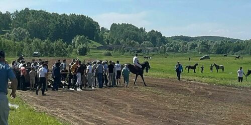 «Слезы лошади еще отольются»: началось расследование по факту гибели лошади на Сабантуе в Актаныше