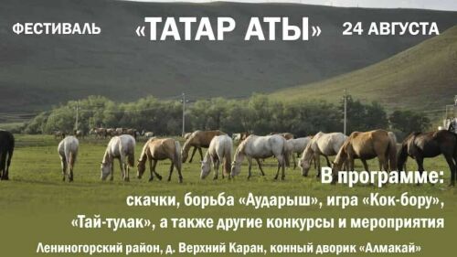 Фестиваль «Татар аты» пройдет в Татарстане с скачками и борьбой на лошадях