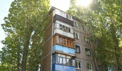 «У нас тополь существует ради тополя, это самое дорогое зеленое насаждение»