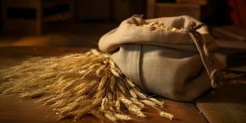 «Летописная запись об уничтожении мышами в казанских, свияжских и чебоксарских «местах» хлеба в поле и закромах»