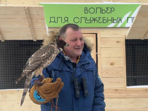 Мусорный полигон «Восточный» будет охранять ястреб