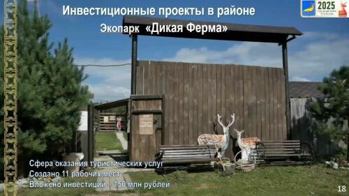 «Шумбутский лес – настоящая тайга»: чем завлекал бизнес глава Рыбной Слободы