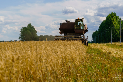 Татарстан увеличил экспорт сельхозпродукции в Китай почти в два раза