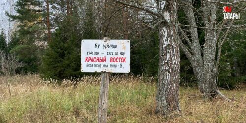 Смерть Красного Востока: как арская деревня «26» прошла путь от передовика до развалин