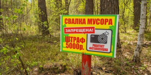 Заслуженный лесовод России: «Нарушений в лесах стало меньше, фиксируем единичные случаи»
