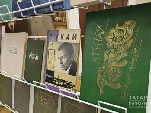 В Академии наук РТ открылась всероссийская научная конференция к 140-летию Тукая