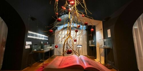 «Райские сады» в Казани: встреча с Хызром, место очищения и тюркские руны