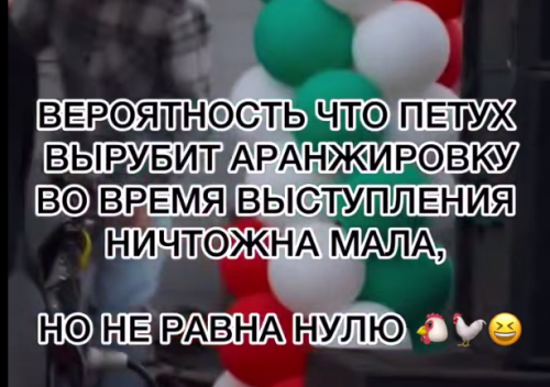 Петух сорвал провода и оставил артистов без музыки на Сабантуе в Татарстане