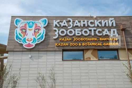 Зоопарк «Река Замбези» в Казани ждет перестройка и пополнение коллекции